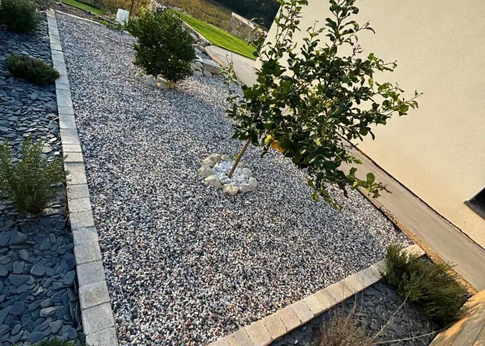 Paisible Au Bord Des Vignes